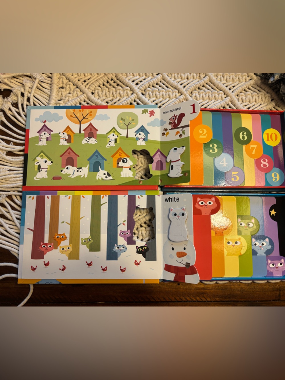 Counting Dogs and Rainbow Cats hard boarded books.